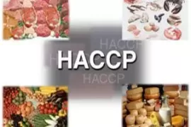 Най-добрите НАССР курсове